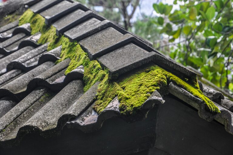 Roof cleaning Contractor Oshawa